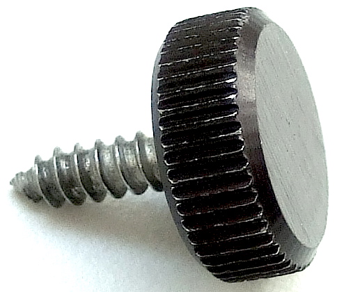 2S_ems_synth_keyboard_screw.jpg